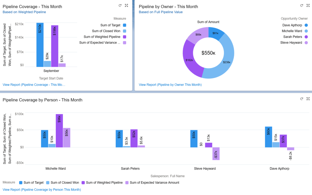 An example of the Sales Manager Dashboard for this month within the GSP Target Tracker app.